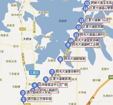武汉市文化大道在哪个区