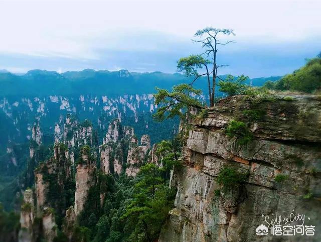 长沙市宁乡市纸飞机账号购买建议