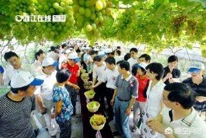 上虞周边一日游必去景点(图2)