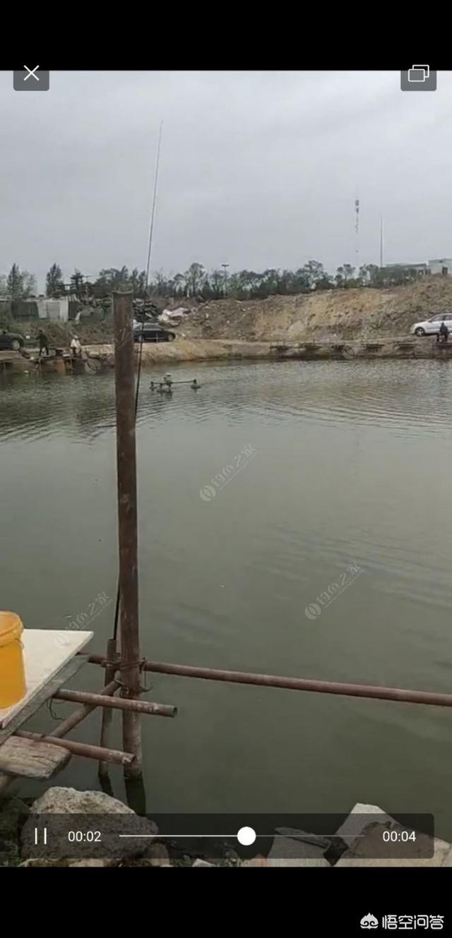 长春市农安县纸飞机账号购买渠道