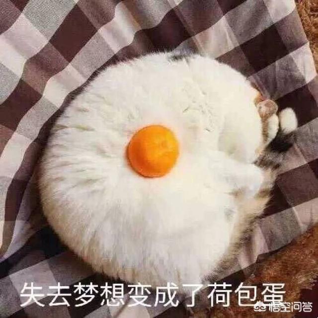 星座最完美搭配男生头像(图10)