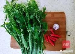 龙须菜做法凉拌菜的做法