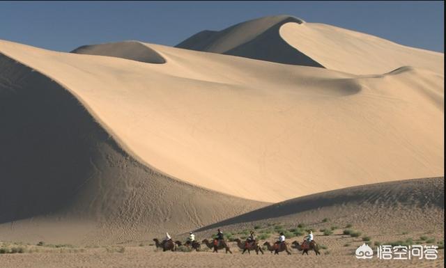 梦驼铃歌词_粤语梦驼铃歌词