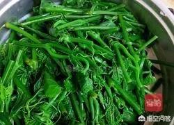 龙须菜做法凉拌菜的做法(图10)