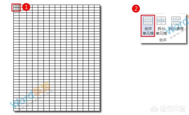 word如何制作点名册？：点名表