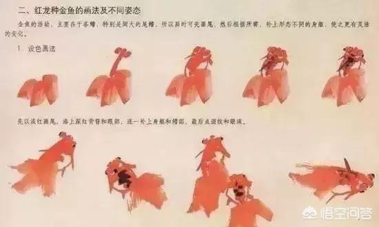 国画入门写意花卉?国画入门写意花卉图片!