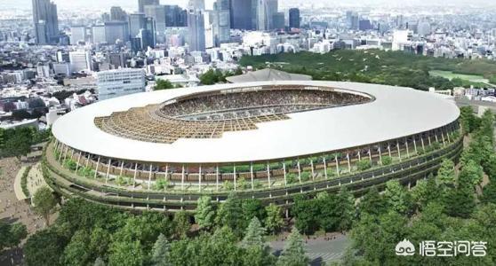 2020年夏季奥运会（2020年东京奥运会一共有多少个国家参加？）