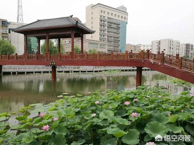 作为河南人,你感觉哪个城市最适合居住?看看老乡是怎么说的？