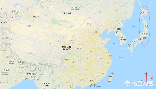 大象生活在什么地方？：在哪个