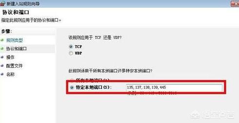 137端口（本机端口显示137是什么意思？）