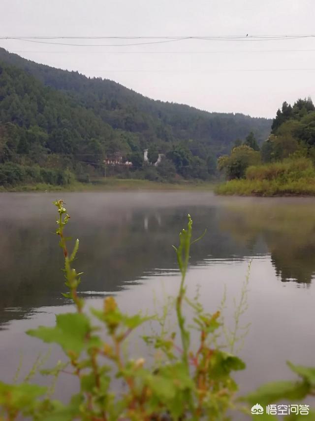 和平水库自驾游路线，和平水库自驾游路线图