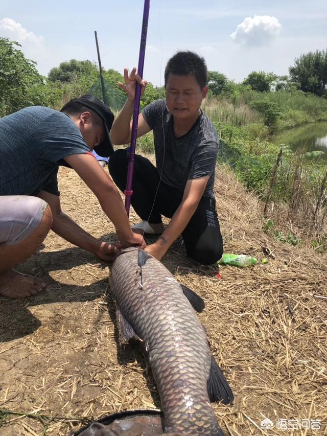 沈阳市大兴村钓场在哪个位置