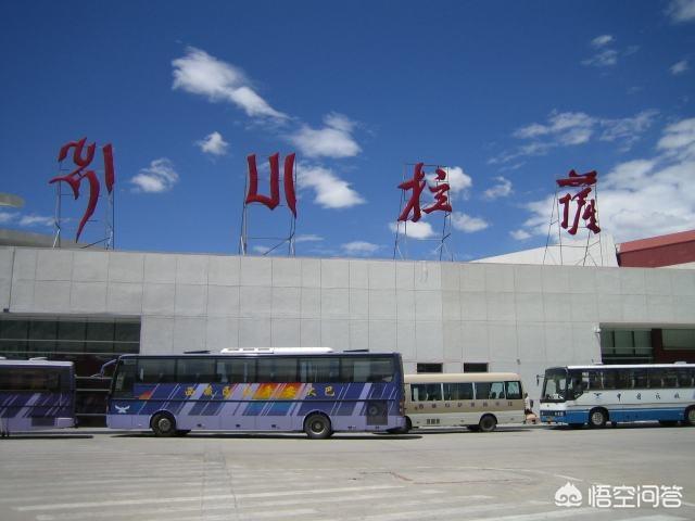 幫幫國際寵物托運公司?幫幫國際寵物托運公司官網!
