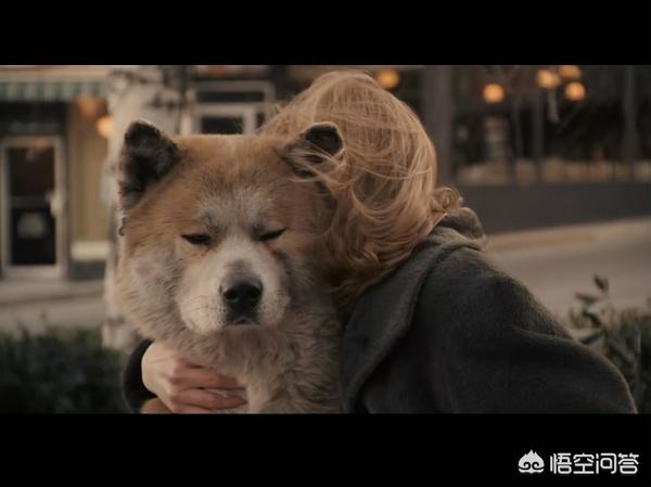 忠犬八公中上野英三郎的特点