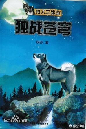 兄弟情仇（兄弟情仇电视剧全集在线播放版国语版）