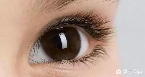 清纯美女照片清纯美女照片背影头像