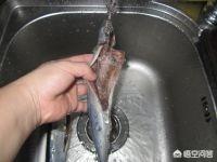 煎秋刀鱼广东做法窍门（潮汕煎秋刀鱼的做法？）