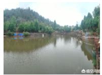 云南昆明市呈贡区吃饭钓鱼游玩口碑好的农家乐最新推荐,呈贡附近钓鱼农家乐