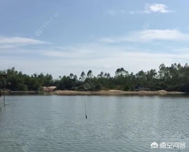 长春市农安县纸飞机账号购买渠道