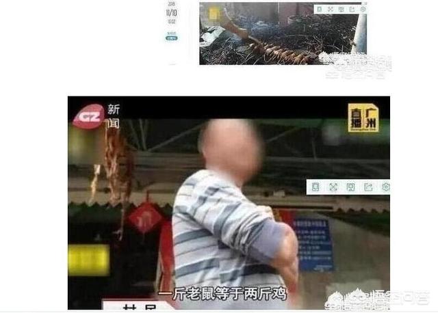 肇庆市鼎湖区纸飞机账号购买