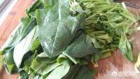菠菜炒鸡蛋-菠菜炒鸡蛋怎么炒好吃