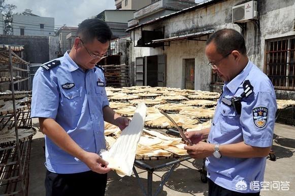 广东海鲜价格大跳水（2024年广东省的海鲜还能吃吗？）