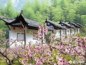 上虞周边一日游必去景点(图4)
