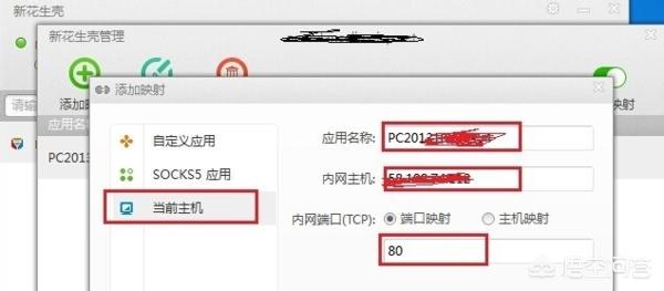 利用花生壳搭建网站