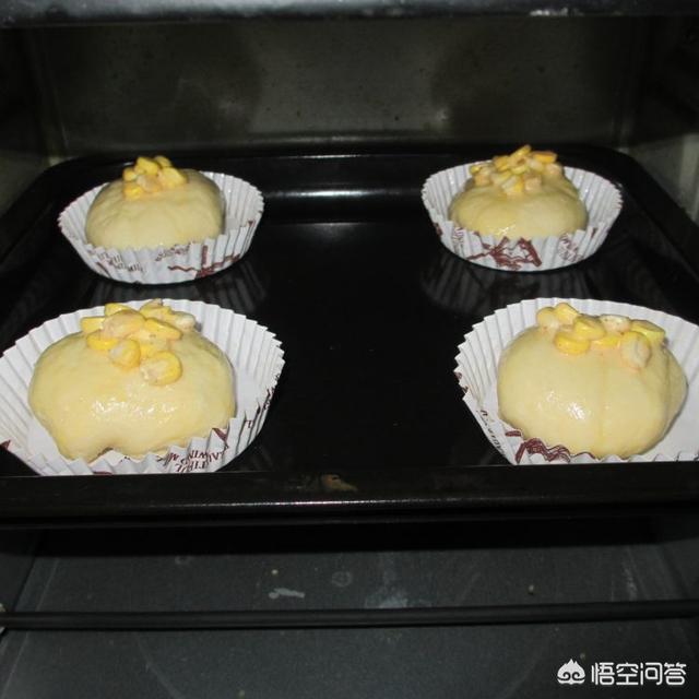 玉米包制作的花怎么养护和管理(图9)