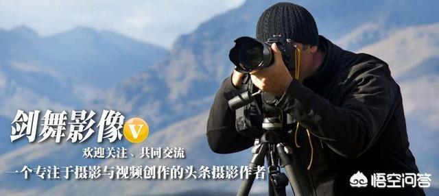 外景结婚照图片