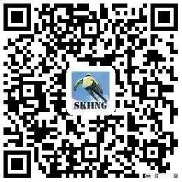 如何用荣耀V20玩体感游戏?这份游戏攻略你必须收藏