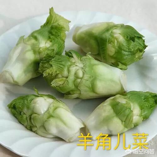 蔬菜花-蔬菜花束图片大全
