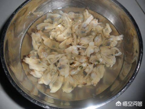 和膳裙带菜怎么做？：裙带菜酒