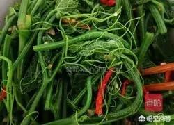 龙须菜做法凉拌菜的做法(图20)
