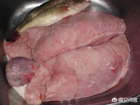 猪肺汤的做法-猪肺汤的做法与功效