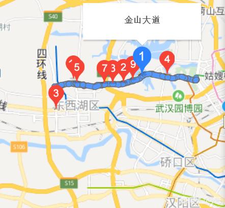 武汉市金山大道是哪个区