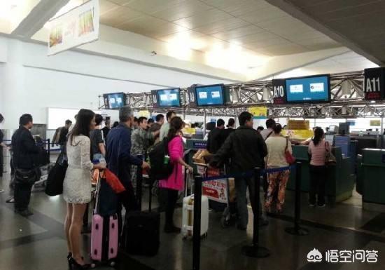 幫幫國際寵物托運公司?幫幫國際寵物托運公司官網!