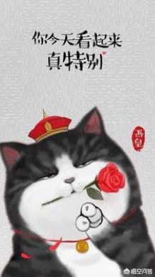 戴高帽子的猫（戴高帽子的猫叫什么）