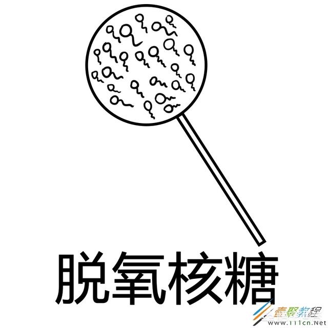 脱氧核糖（“脱氧核糖”是什么梗，脱氧核糖是什么意思？）