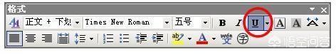 插入下划线（如何插入下划线？）