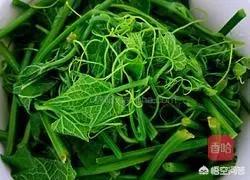 龙须菜做法凉拌菜的做法(图11)