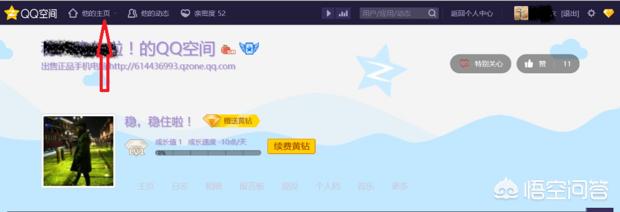 qq相册下载（QQ空间相册如何批量下载？）