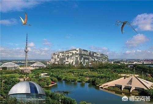 临沂市金丰公司怎么样呀