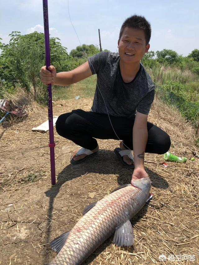 沈阳市大兴村钓场在哪个位置