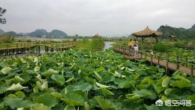 云南当地报团旅游一般多少钱,一家人去云南旅游要多少钱