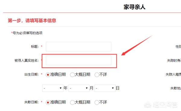 找人搭建网站平台