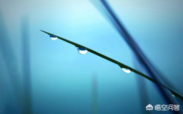 到沈阳市辽中区怎么走