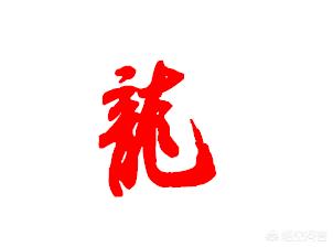 龙的草书书法字体教程