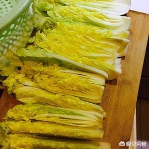 娃娃菜做法最正宗的做法