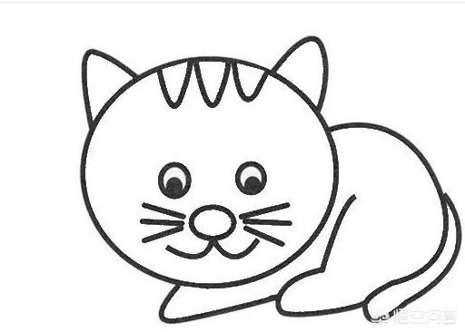 猫怎么画简单又可爱(图5)